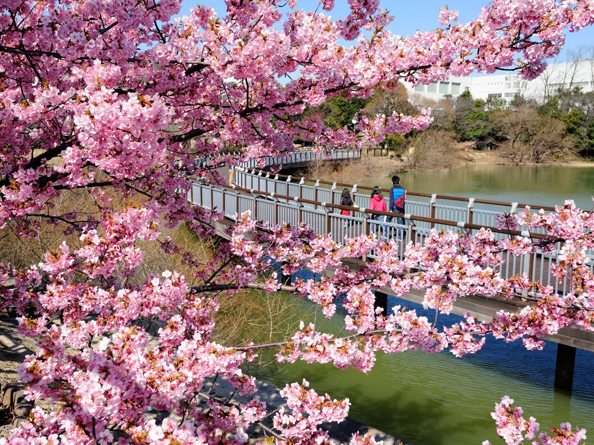 二ツ池公園