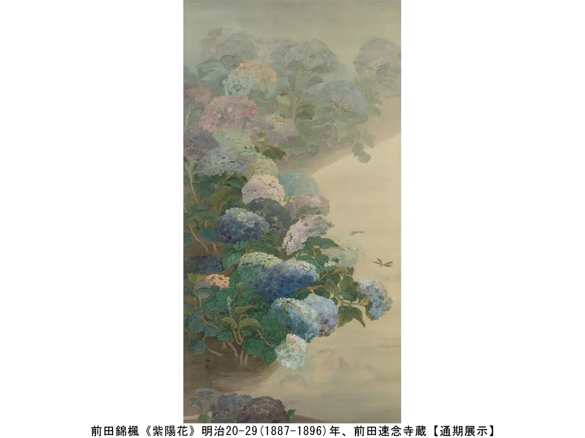 前田錦楓《紫陽花》明治20-29(1887-1896)年、前田速念寺蔵【通期展示】