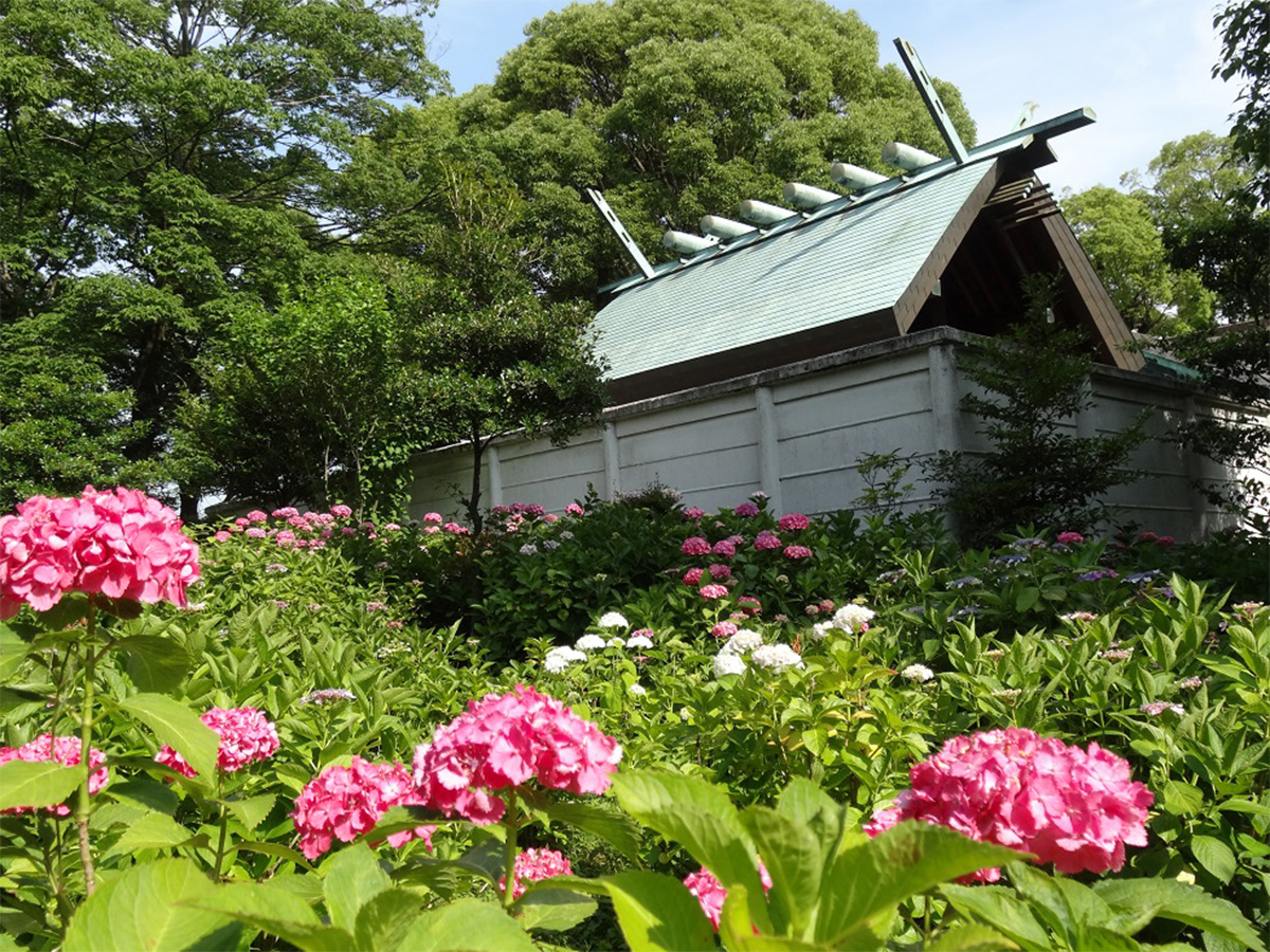 Bisai Hydrangea Festival