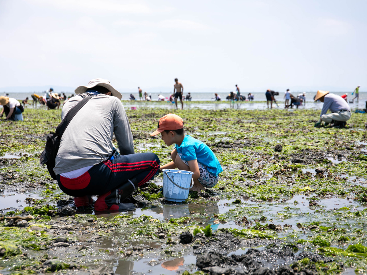 Clamming with the Tokoname Fisheries Cooperative