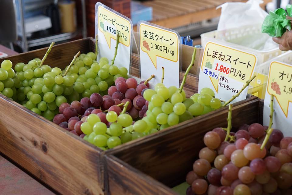 東浦ぶどう