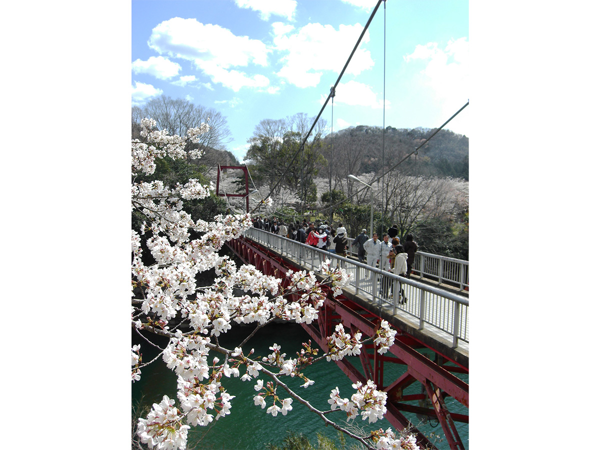 新城さくらまつり