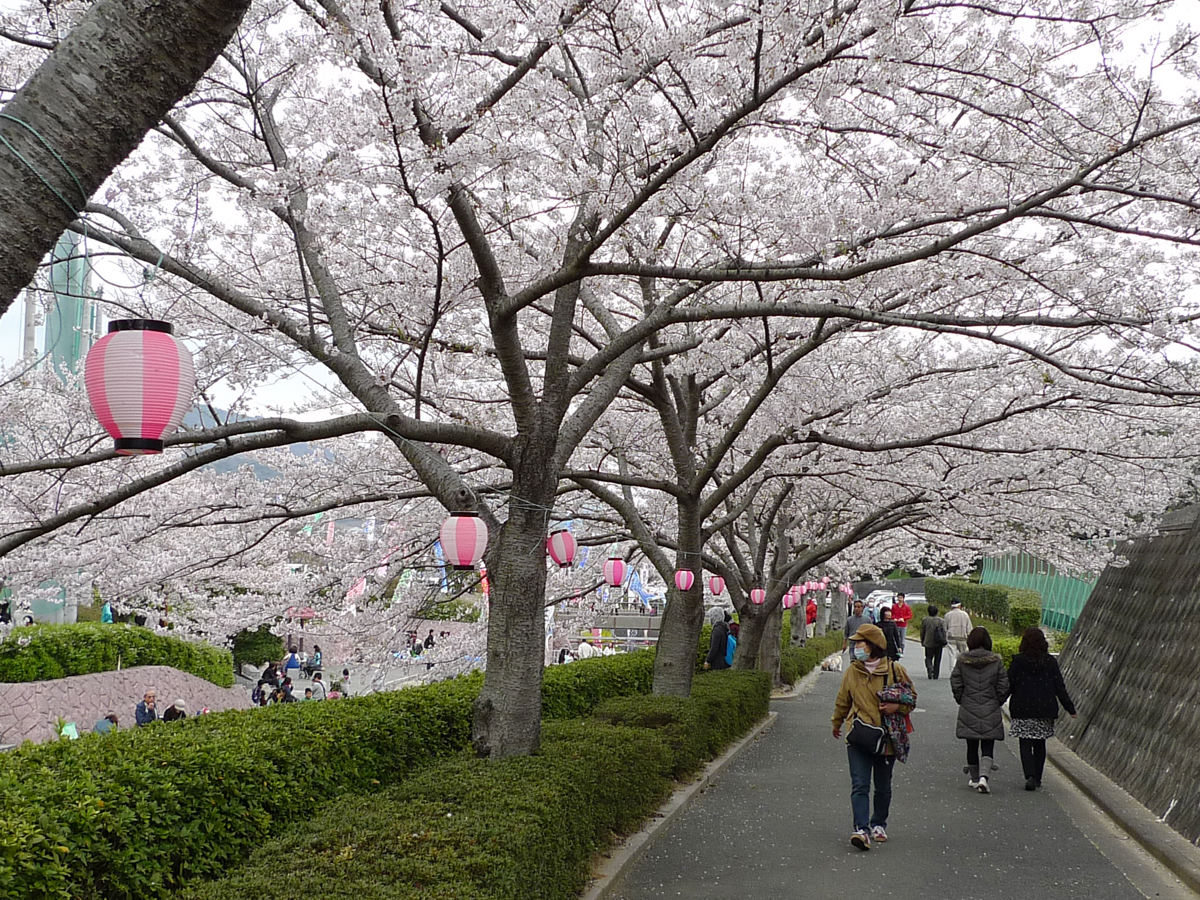 滝頭桜まつり