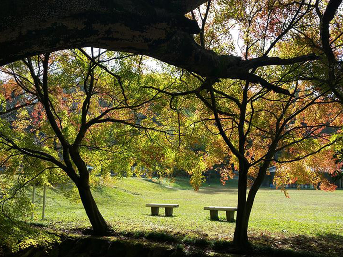 定光寺の紅葉