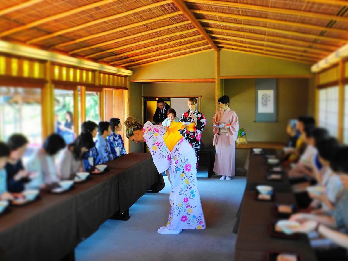 白鳥庭園　紫陽花茶会