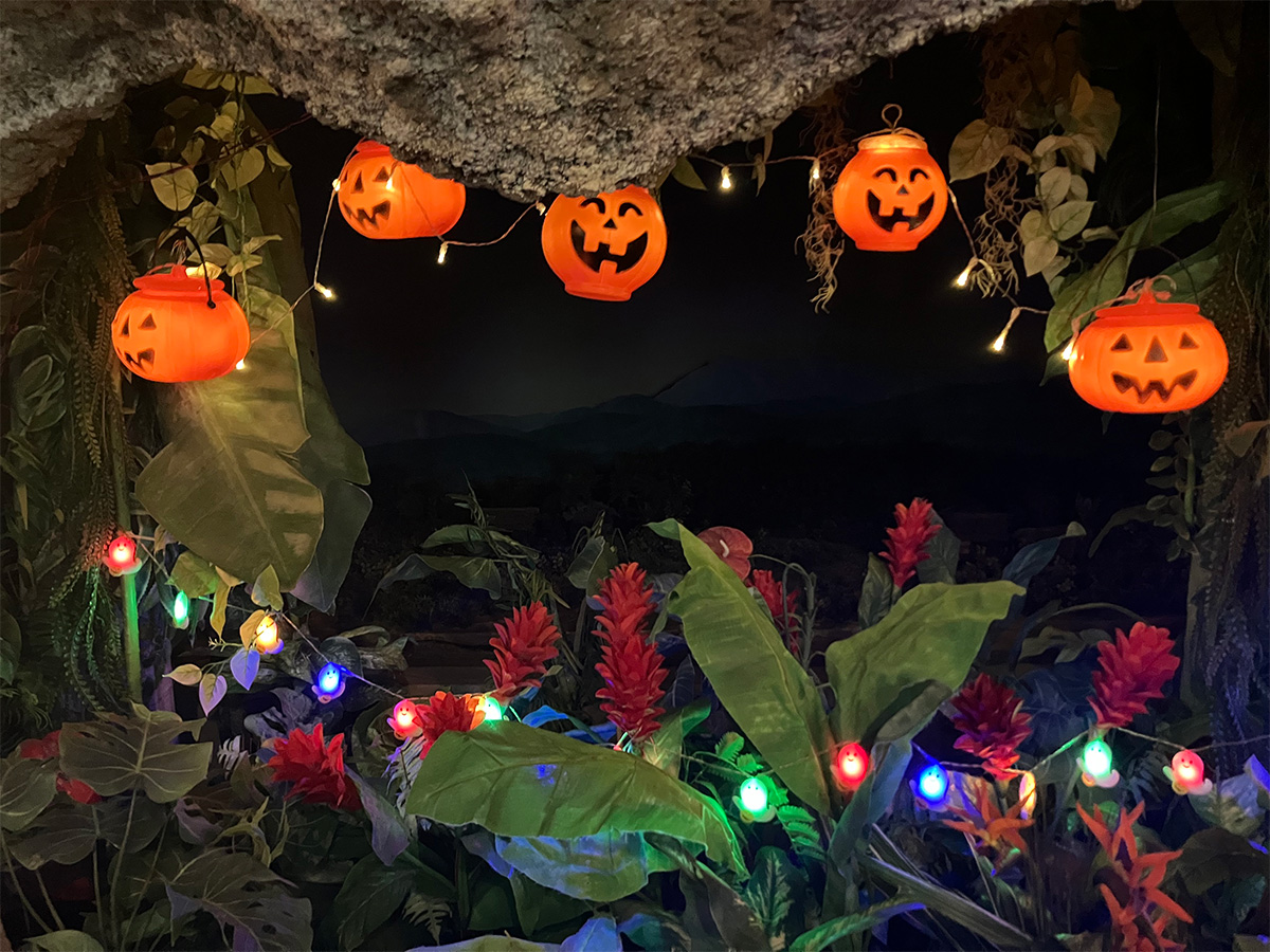 ハロウィンを楽しもう