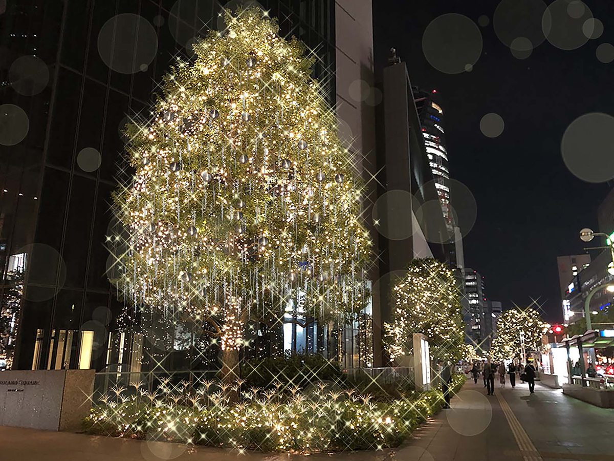 ミッドランド・クリスマス