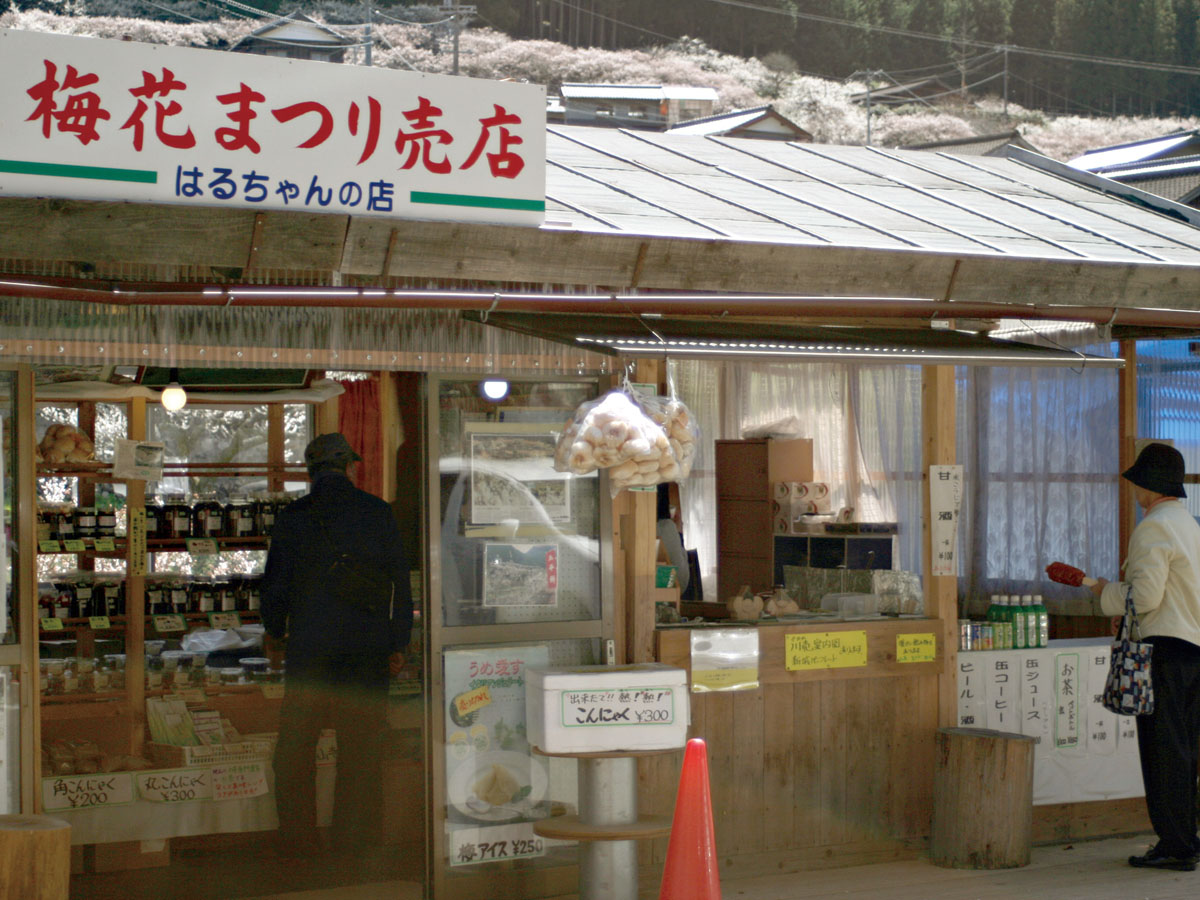 川売の梅花まつり