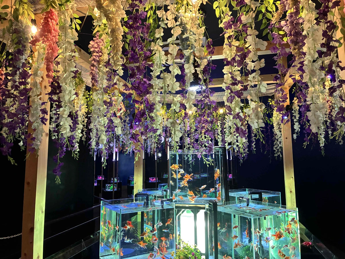 特別展「金魚」