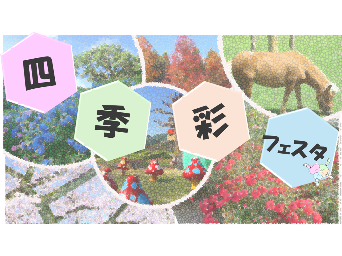 四季彩フェスタ