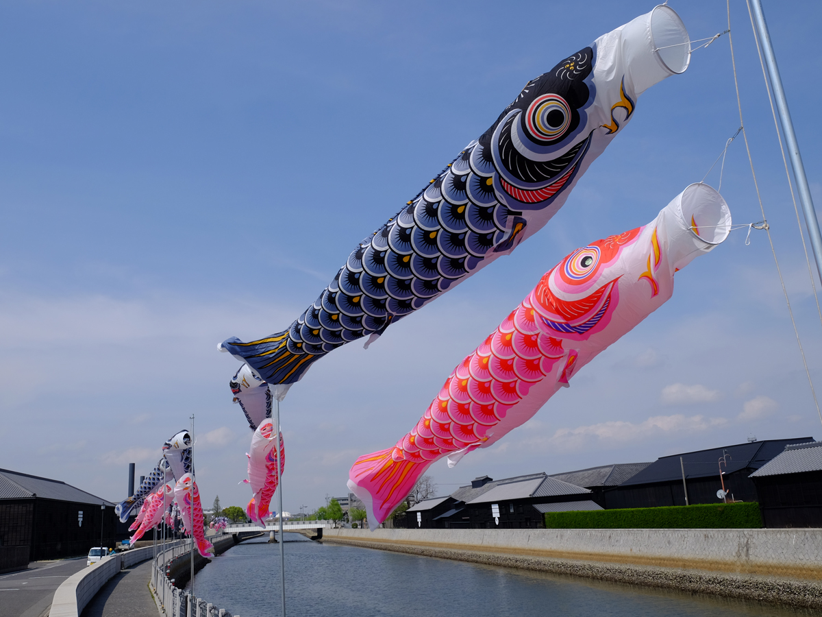Handa Canal Carp Streamers