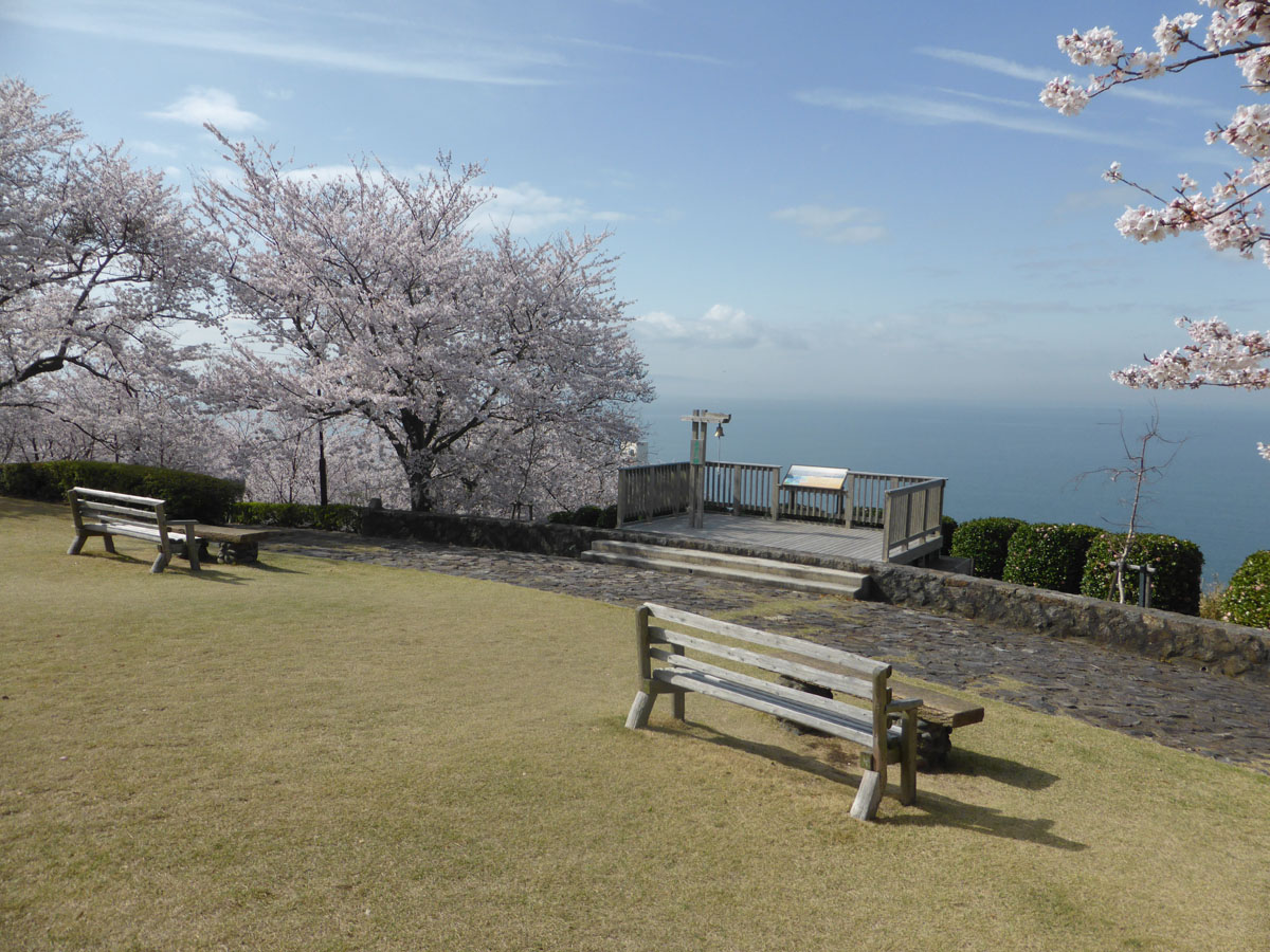 西浦温泉 桜まつり