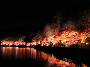 夢・彩・発見ふじおか紅葉まつり