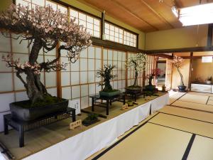 大府盆梅展