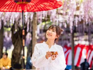 尾張津島藤まつり（天王川公園）