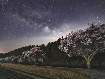 穂っとネット東三河フォトコンテスト