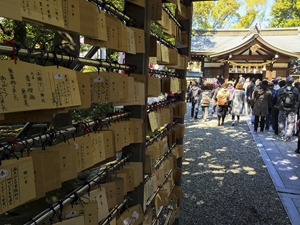 豊年祭（田縣神社）