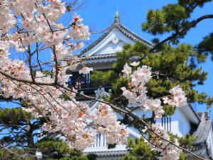 岡崎の桜まつり