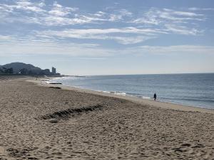 小野浦海水浴場
