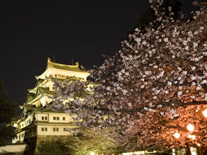 名古屋城　春まつり