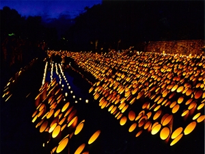 デンパーク仲秋のあかり祭_01