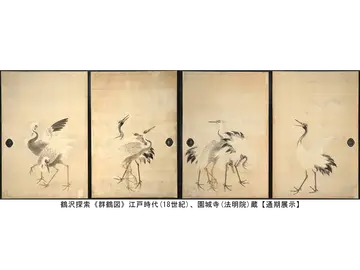 鶴沢探索《群鶴図》江戸時代(18 世紀)、園城寺(法明院)蔵【通期展示】