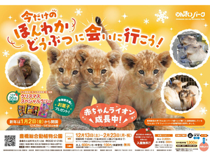 のんほいパーク　冬イベント