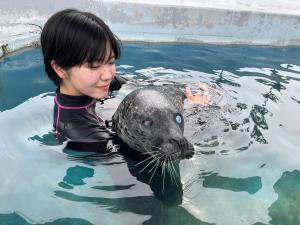 プールの中でアザラシを抱っこ