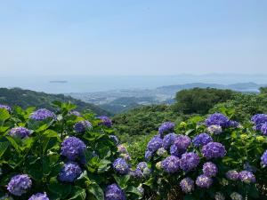 三ヶ根山あじさいまつり