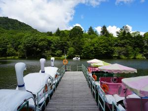 夏の茶臼山高原（イベント）