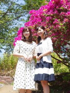 一宮つつじ祭