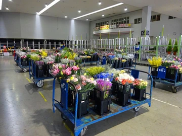 花市場開放日