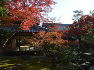 紅葉のおもてなし　もみじまつり