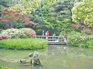 大倉公園つつじまつり