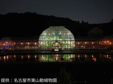 東山動植物園　ナイトZOO