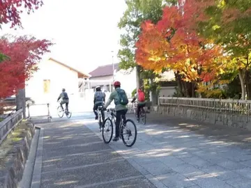 へきなん自転車散歩