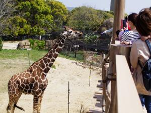 豊橋総合動植物公園（のんほいパーク）ゴールデンウィークイベント
