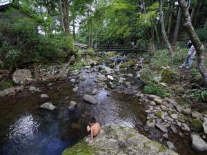 グリーンステージ花の木　山の大自然、夏休みは川遊びで大満喫！