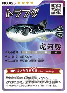 おさかなカード
