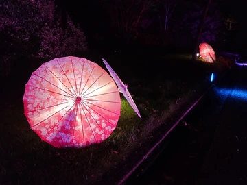 デンパーク仲秋のあかり祭_05