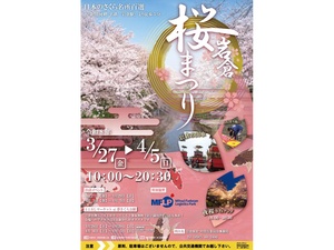 岩倉桜まつり　チラシ