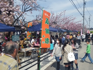 一番街お花見会