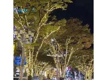 栄ミナミ・大須　ウインターイルミネーション