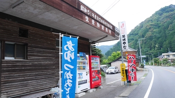 男川やな