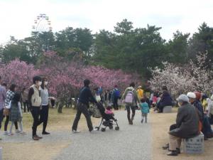 南公園梅まつり