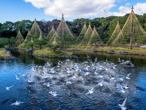 白鳥庭園のお正月