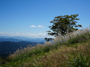 秋の茶臼山高原まつり