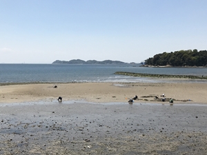 水神　潮干狩り