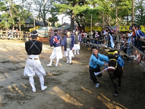おまんと祭