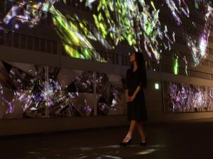 DIGITAL ART MUSEUM